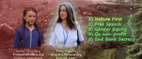 Climate Protest and Ecocide Law go hand in hand